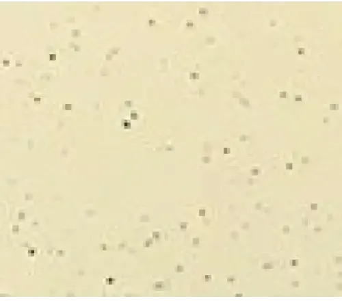 Beige texturerad tyg på Mira390 wellness pool ovanmark organisator 388x228x80