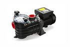 Pahlén pumpe Micro 33