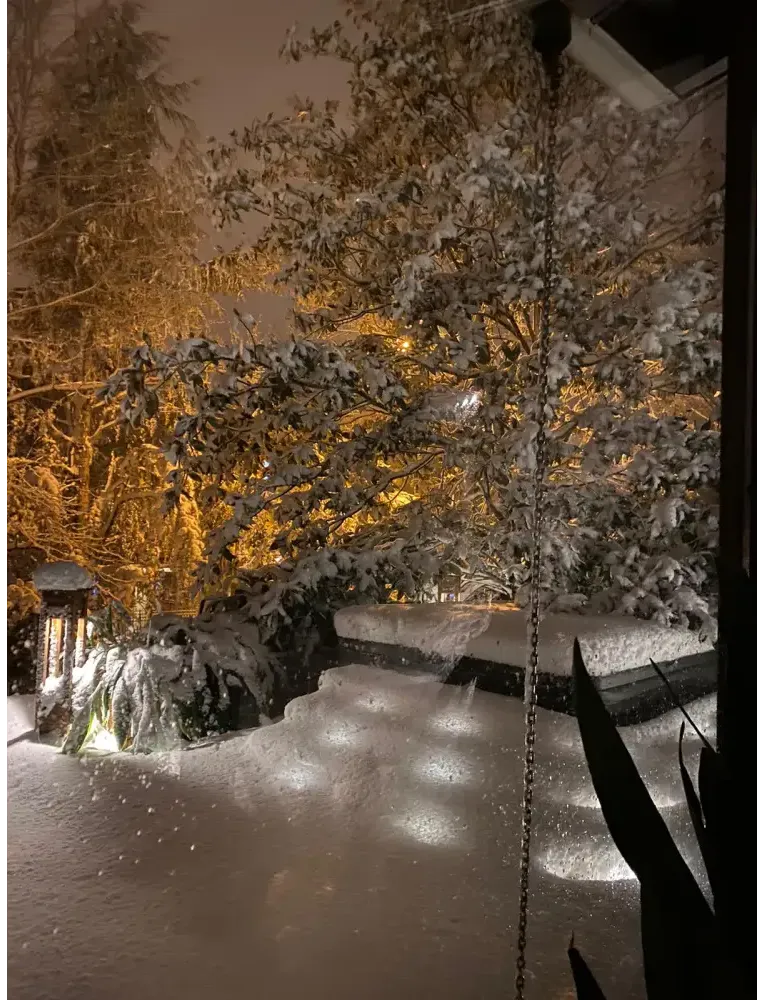 Snöiga trädgrenar i varmt gyllene ljus vid PassionSpa Relax Spabad nattetid