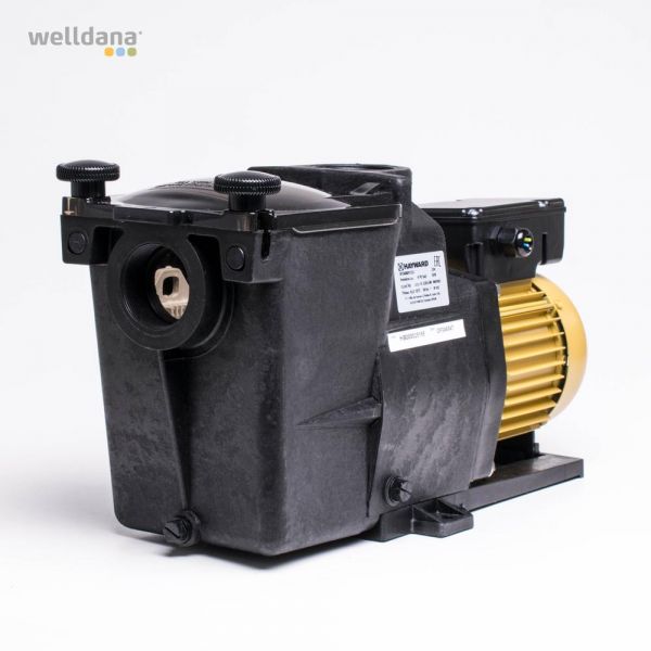 Hayward Super Pump Pro