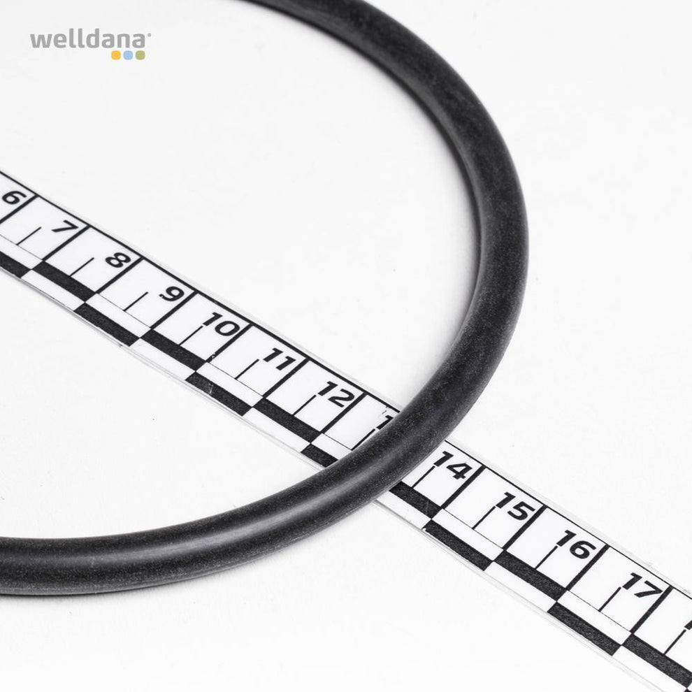 O-ring till pumphus för Max Flo XL