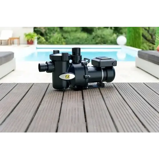 Svart Zodiac Pump FloPro E30 IQ poolpump med industriell design och oval logga